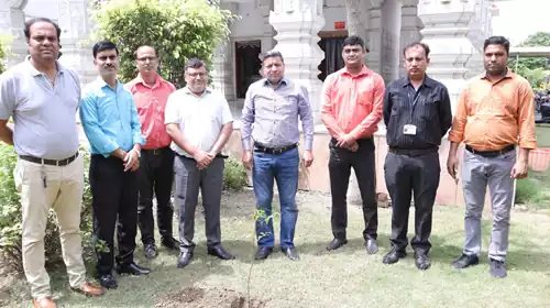 Tree Plantation